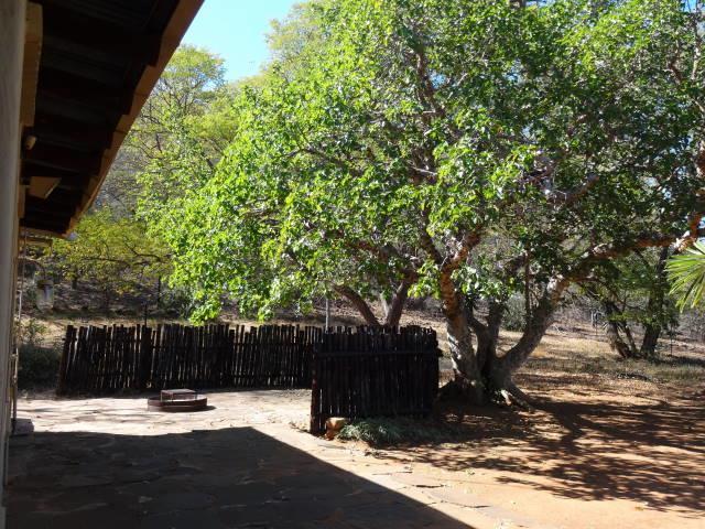 莱珀特山林小屋 伯格斯堡 外观 照片